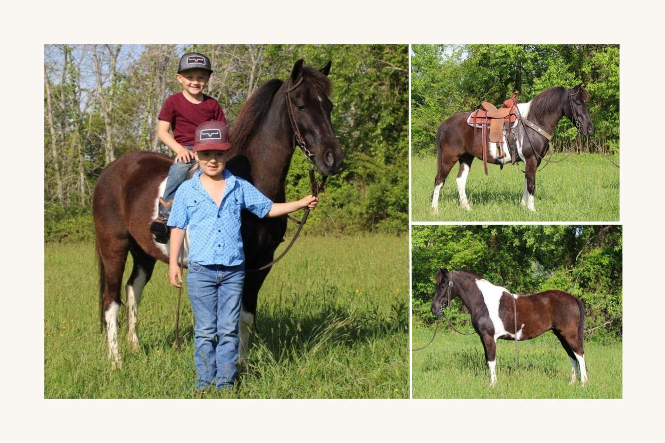 Louise | Thehorsebay.com