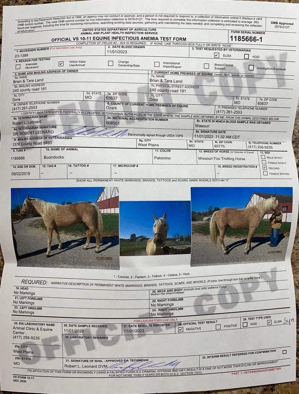 Boondocks | Thehorsebay.com