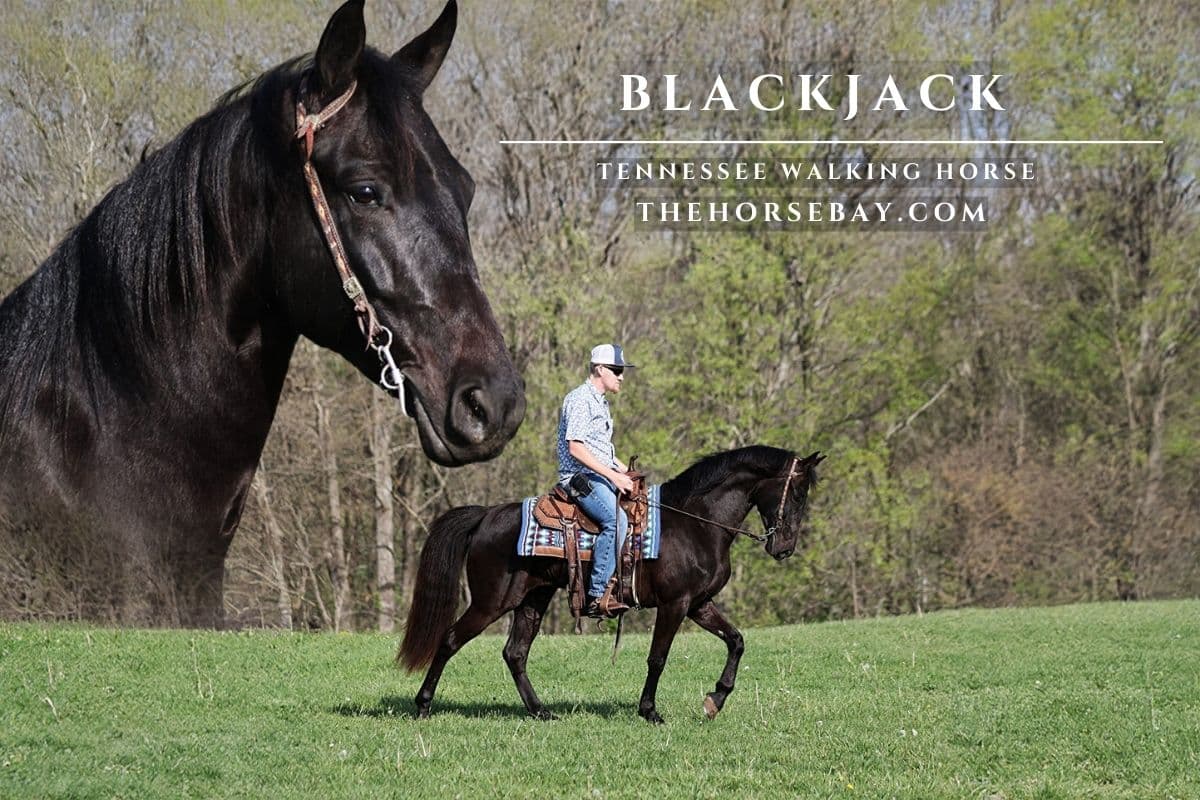Blackjack